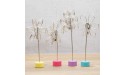 4 pcs Cute Flower Table Card Memo Holder Stand Photo Clips Holder Desk Stand for Memo Paper Note Monmory Photo Christmas Wedding Number Card Display with Colorful Metal Base - B8O6RK6D4