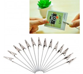 50 Pcs Set Craft Wire Clip Card Photo Clip Not Easy to Rust Durable in Use Long-Tailed Clamp Spring Clamps - BMJ71FBDB