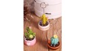 LB-LAIBA Cactus Table Picture Holders Plant Place Card Holders for Centerpieces Wedding Party Birthday Office Desk Memo Menu Decoration 2 Pieces - BSIMJ39RG