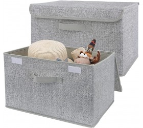 GRANNY SAYS Large Storage Bins with Lids 2-Pack Canvas Boxes for Storage Gray Closet Organizers and Storage - BYH3U11X4
