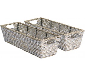 DII Trapezoid Seagrass Metallic Basket 16x5x4-Set of 2 Silver - BEAH8W3FR