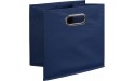 Niche Cubo Foldable Fabric Bin- Blue - BEX3WYJPL