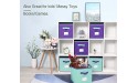 TQVAI Mix Color Foldable Storage Cubes 6 Pack Closet Bins Boxes with Label Holder Colorful Kid Toy Basket Bins Mix Purple & Mint Green - BNYTLKD97