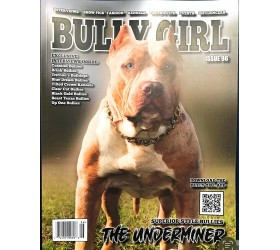 Bully Girl Magazine Issue # 96 [The Underminer Cover] - BZOU5BZR0