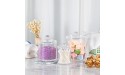 YOUEON 6 Pack Acrylic Cotton Ball Holder with Lid 8 Oz 18 Oz 28 Oz Clear Q-tips Dispenser Bathroom Storage Canister Apothecary Jars for Organizing Cotton Swab Cotton Pads Makeup Desk - BGVY4NCGW