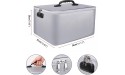 ENGPOW Fireproof & Water-Resistant Document Storage Bag 4-Layer Large Space,15 x 11 x 8 File Organizer Case with Lock,Document Safe Filing Organizer for Home Office Travel,Silver - BHKQYCRNH