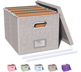 Oterri File Storage Organizer Box,Filing Box,Portable File Box with Lid,Fit for Letter Legal File Folder Storage Easy Slide Durable Hanging File Box for Office Decor Home,1 Pack,Gray-Box only - BAFA43503