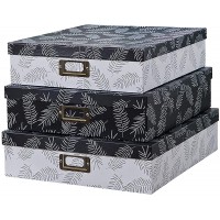 SLPR Decorative Storage Cardboard Boxes with Lids Set of 3 Feathers | Black and White Nesting Gift Boxes for Keepsake Photos - BTC0UOBM4