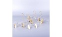 10 Pieces of Acrylic Transparent Gold Hook Hanger Acrylic Hanger with Gold Clip Clear Acrylic Hanger Pants Hanger Clip Skirt Display - BO4NUYW8V