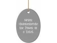 Epic Valet Oval Ornament Never Underestimate The Power of a Valet. Gifts for Friends Present from Boss for Valet - BRIFGJPCJ