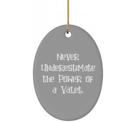 Epic Valet Oval Ornament Never Underestimate The Power of a Valet. Gifts for Friends Present from Boss for Valet - BRIFGJPCJ