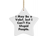 Valet Gifts for Coworkers I May Be a Valet but I Can't Fix Stupid People. Unique Valet Star Ornament from Friends - BY02SNN62