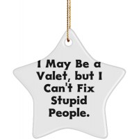 Valet Gifts for Coworkers I May Be a Valet but I Can't Fix Stupid People. Unique Valet Star Ornament from Friends - BY02SNN62