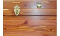 24 Round Top Aromatic Red Cedar Chest with Brass Hardware and Removable Inner Tray Blanket Linen Storage Steamer Trunk Amish Made in America Medium Natural - B4JUMYKQC