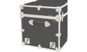 Rhino Trunk & Case Dorm Armor Trunk with Removable Wheels College Home & Office Storage 35x17x17 Slate - BTPFJO640