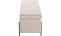 NOBPEINT 43 inches Velvet Storage Ottoman Bench Upholstered Bed End Bench Storage Chest with Metal Legs Beige - BVPIET1YE