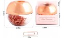 Rose Gold Paper Clips ，Light Luxury Fashion 100 pcs Paper Clips 28mm 1.1 with Magnetic Lid Acrylic Paper Clip Holder for Office Decor Desk Accessories - BAUYLZ1K8
