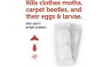 Enoz Moth-Tek Packets Cedar Scent 6 oz. Bag Case of 6 Kills Clothes Moths Carpet Beetles and Eggs and Larvae - BBAKP8O7N