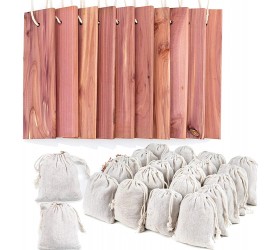 GOGOUP Cedar Blocks for Clothes Storage 32-Pack - BWOF06Y41