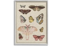 Stupell Industries Vintage Moth and Butterfly Wing Study Over Script Designed by Daphne Polselli Gray Framed Wall Art 24 x 30 Multi-Color - B33NSKV8K