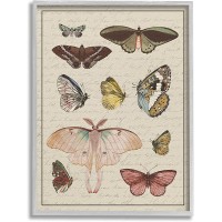 Stupell Industries Vintage Moth and Butterfly Wing Study Over Script Designed by Daphne Polselli Gray Framed Wall Art 24 x 30 Multi-Color - B33NSKV8K