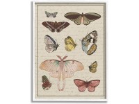 Stupell Industries Vintage Moth and Butterfly Wing Study Over Script Designed by Daphne Polselli White Framed Wall Art 11 x 14 Multi-Color - BREHPQXO6