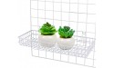 Chris.W 3pcs Wire Hanging Basket Shelf Hooks for Wall Grid Panel Multi-Function Wall Hanging Storage Basket Hanging Straight Shelf 6-Hook Hangers for Bedrooms Bathrooms Dormitories White - BEVI2F6AH