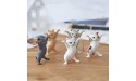 HYG Cat Coffin Dance,The Cat Lifted The Coffin Dancing Pallbearers Funny Pen Holder ColorA - BRB4ODM69