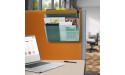 Acrimet 2 Pockets Wall Mount File Holder Organizer Letter Size Clear Green Color Hangers Included - BZS4SIAL5