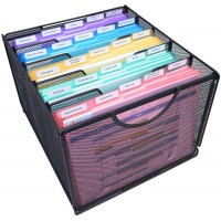 Ultimate Office Portable File Box Desktop Organizer Heavy-Duty Wire Mesh Steel-Reinforced Handles comes Complete with 4 Removable Dividers and a set of 25 5th-cut PocketFiles - BBTC9YL7M
