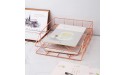 BHONGVV Paper Tray Letter Tray Wire Metal File Office Tray Paper Bin for Desk Office School Home 2Tier Rose Gold - BVYZQQYKL