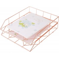BHONGVV Paper Tray Letter Tray Wire Metal File Office Tray Paper Bin for Desk Office School Home 2Tier Rose Gold - BVYZQQYKL
